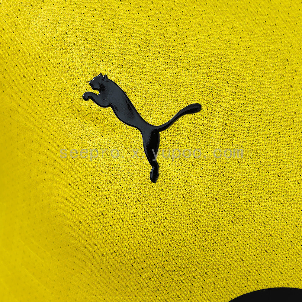 Borussia Dortmund 26/27 Home Player Version