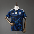 Argentina Away Fan Version